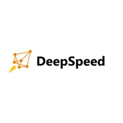 DeepSpeed