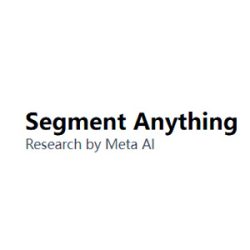 Segment Anything Model (SAM)