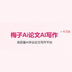 梅子AI论文