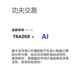 功夫量化