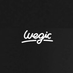 Wegic