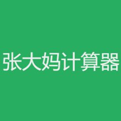 张大妈个税计算器