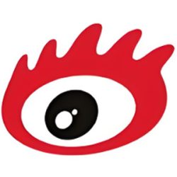 新浪网