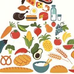 食物营养成分查询