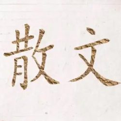 使用kimi指令生成散文