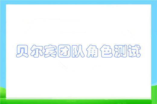 贝尔宾团队角色测试